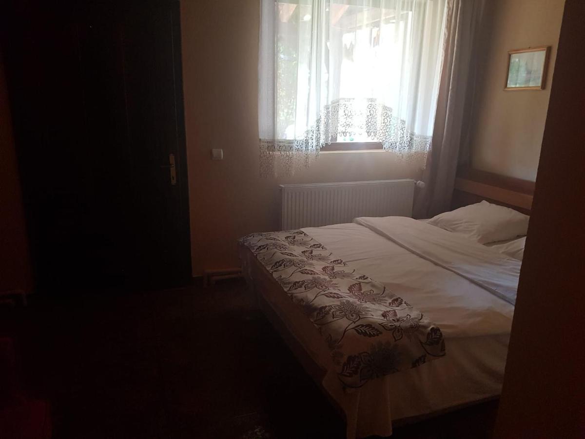 Vila Sura Razoare Sighişoara Exteriér fotografie