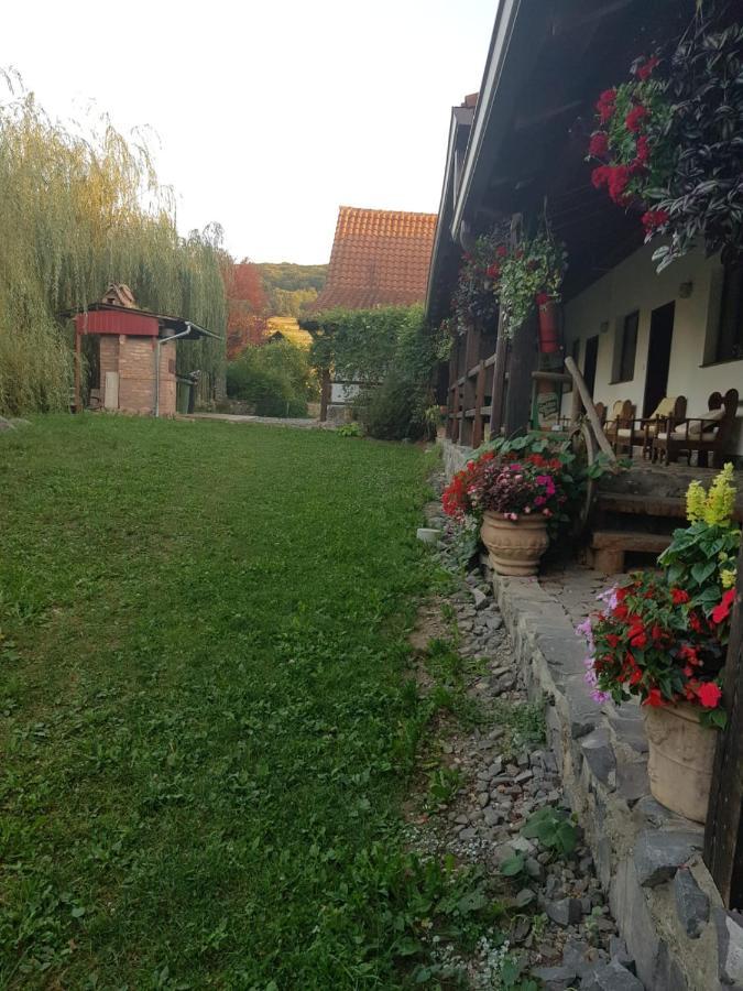 Vila Sura Razoare Sighişoara Exteriér fotografie