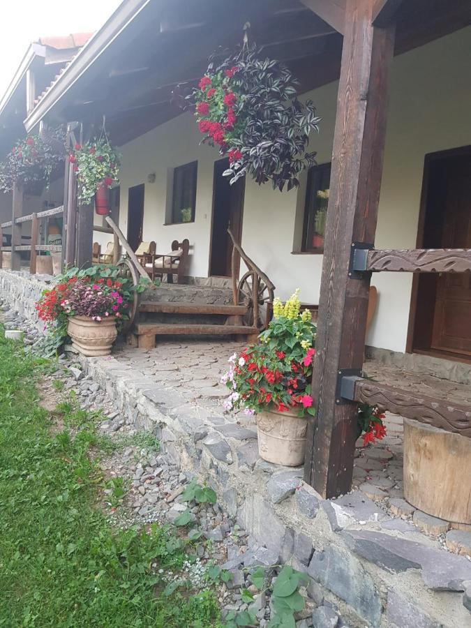Vila Sura Razoare Sighişoara Exteriér fotografie