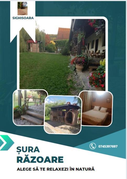 Vila Sura Razoare Sighişoara Exteriér fotografie