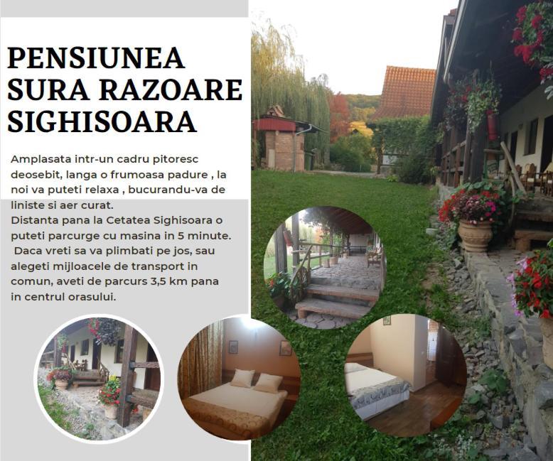 Vila Sura Razoare Sighişoara Exteriér fotografie