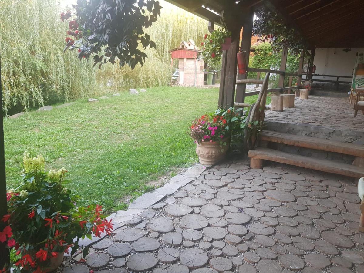 Vila Sura Razoare Sighişoara Exteriér fotografie